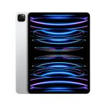 iPad Pro 12.9-inch